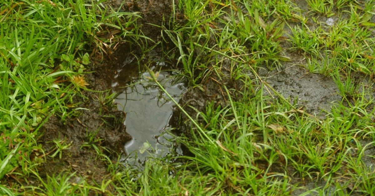 How to Dry a Muddy Yard