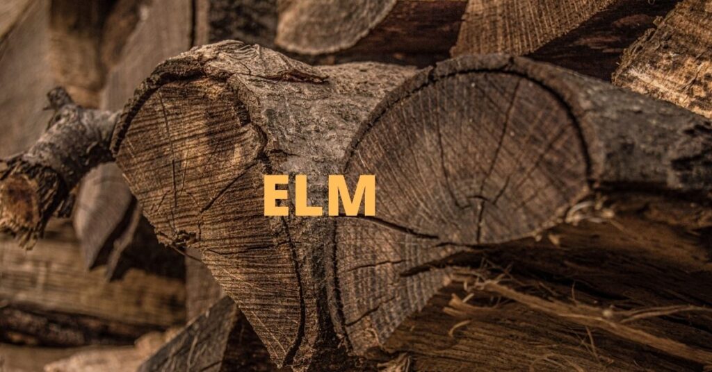 Is Elm Good Firewood ? Things You Need To Know [2023]