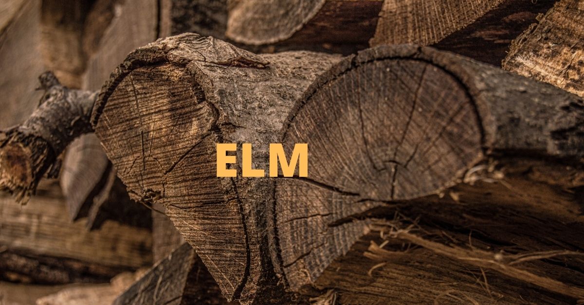 is elm good firewood