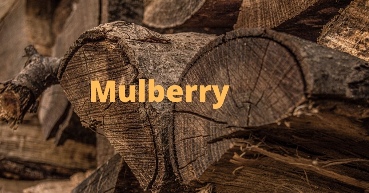 is mulberry good firewood