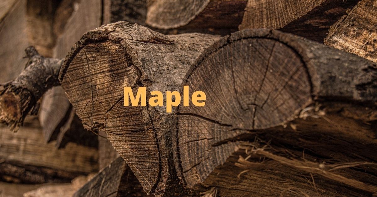 is maple good firewood