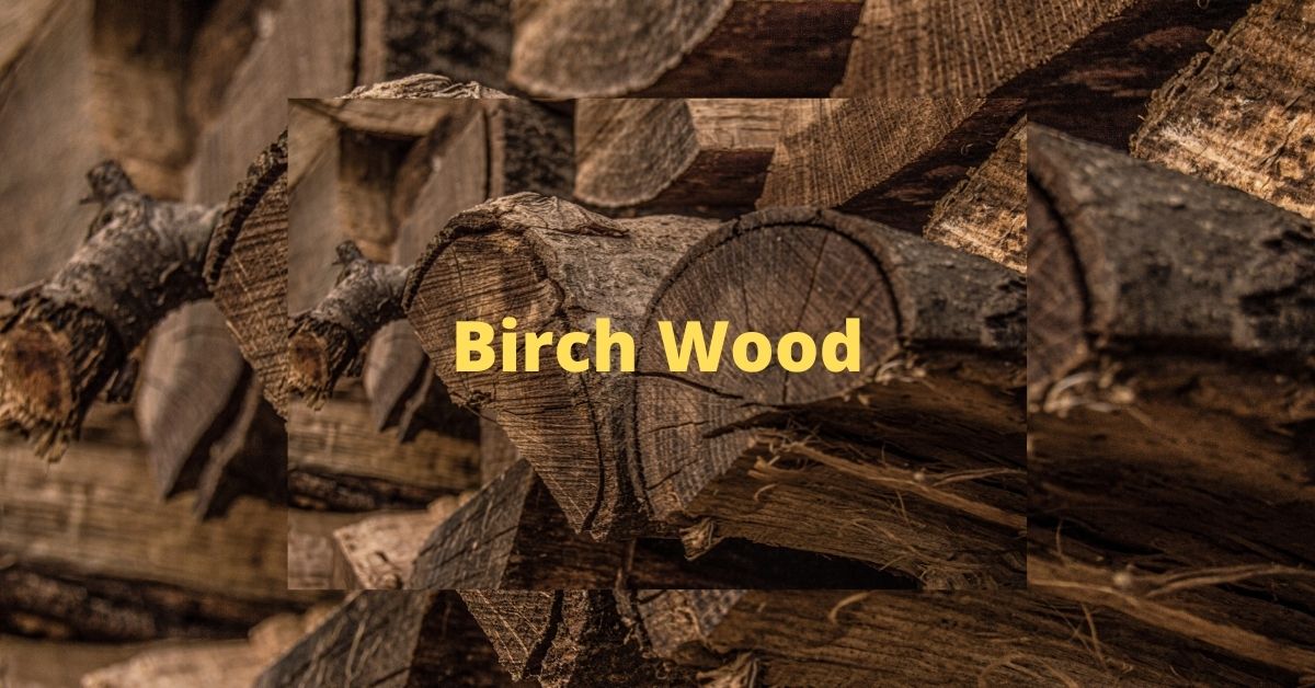 Birch wood