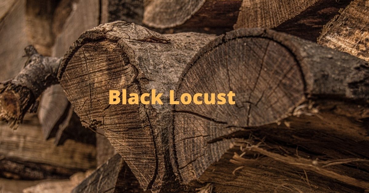 Black-Locust-Firewood