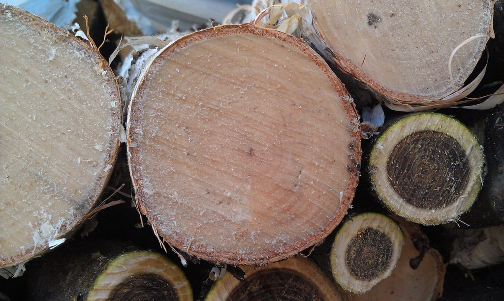 Is Walnut Good Firewood Complete Guide [Update 2023]
