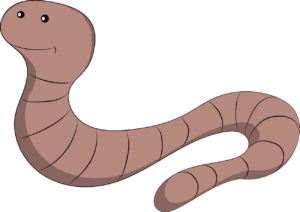 What-is-earthworms