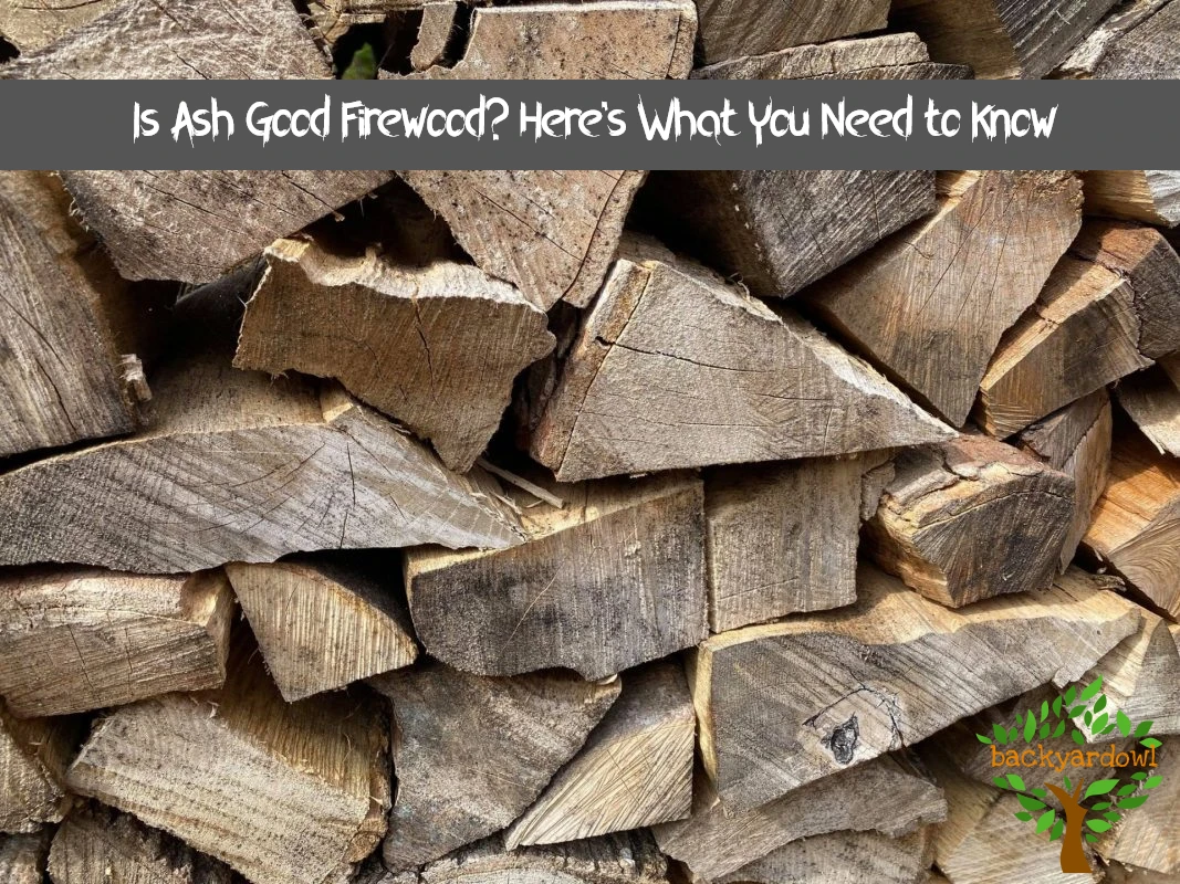 Is Ash Good Firewood? Here's What You Need to Know